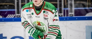 Gallrades ifjol – nu blir julen roligare