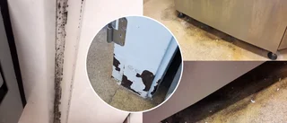 Brister i skolkök riskerar göra barnen sjuka