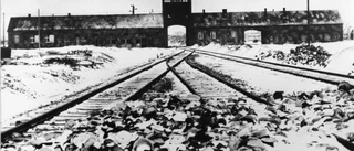 Vi ska minnas Förintelsen - och ta lärdom