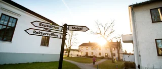 Landsbygdspartiet som glömde bort landsbygden