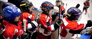 Mest pengar till fotboll och hockey