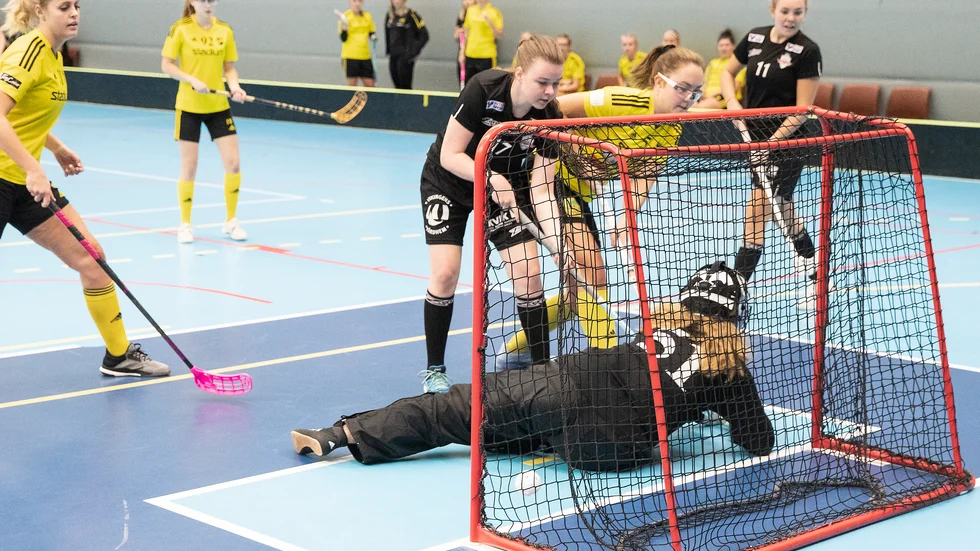FBC förlorade helgens match i Linköping. Arkivbild. 