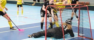 FBC slutade tvåa efter snöplig förlust