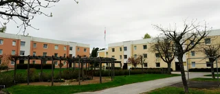 Butiker samlar till de ensamma och utsatta