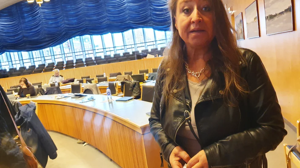 Centerns gruppledare Carola Lidén kritiserade långsiktigheten i S och M:s gemensamma budget.