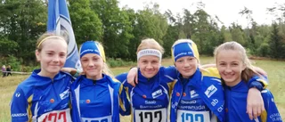 Flera medaljer på orienterings-DM