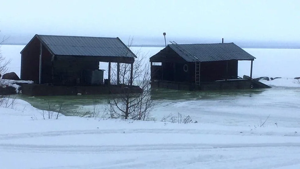 Sjöbodarna i hamnen på Långön är hårt ansatta av högvattnet och isen. Två bryggor har förstörts av vattnet som vid fototillfället är 123 centimeter över normalt.