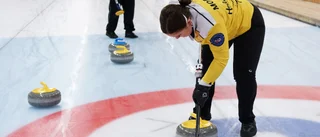 Många viltolyckor under julen 