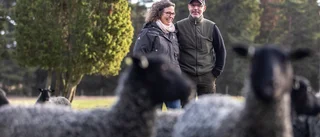 "Det här är Gotlands vackraste plats"