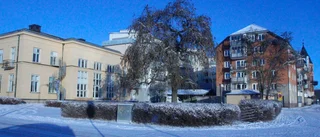Vill bygga bostäder bakom gamla tingshuset