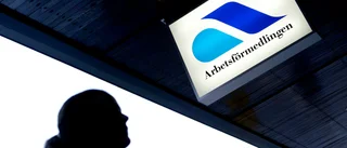 Mittenstyrets plan ska få fler i arbete