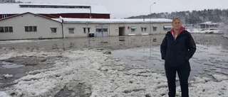 Vattnet vällde in hos Distriktsveterinärerna