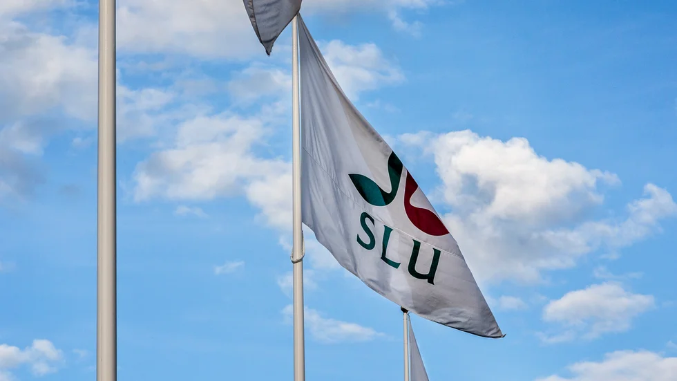 SLU har gjort markaffärer med Uppsala kommun.
