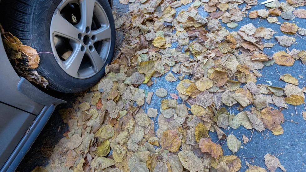 Bilen stals, men hittades igen. 
