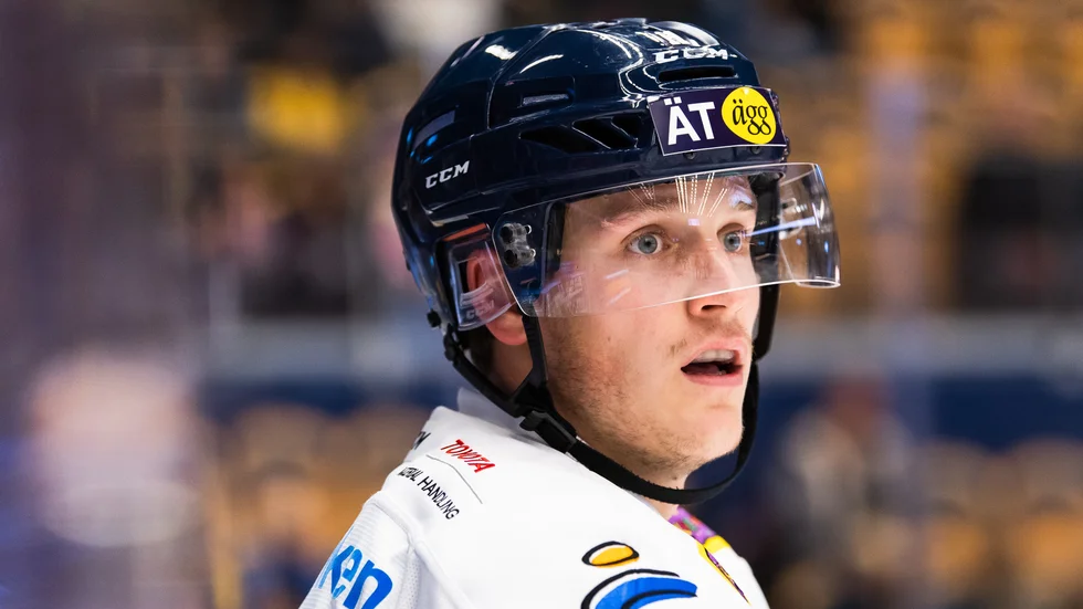 Henrik Törnqvist.
