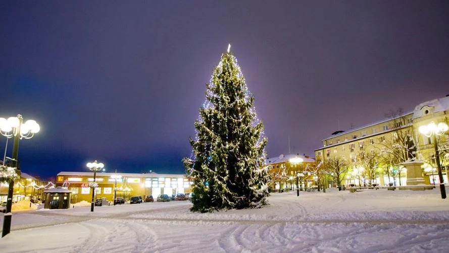 Disneygran sökes. Snart är det julstämning på Stora torget igen.