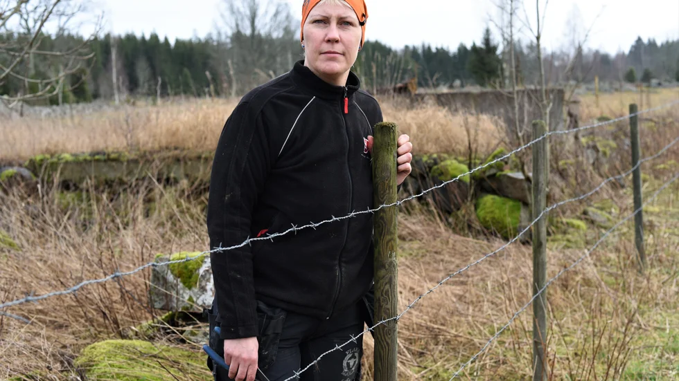 Teknikeleverna Olle Andersson, Stina Holmberg och Erik Leijon fixar med ljussättningen inför nyår.