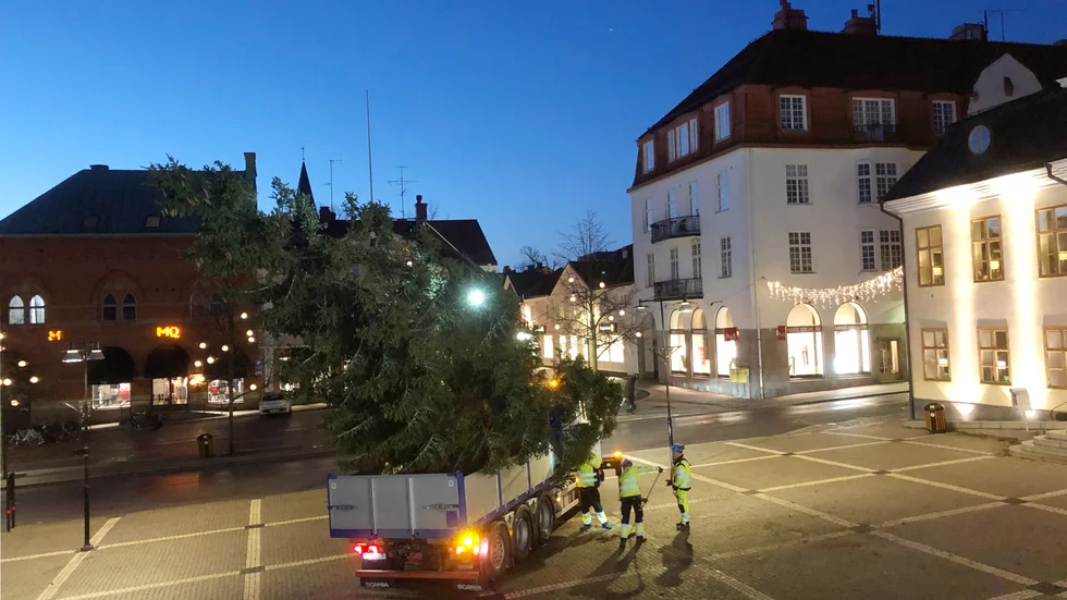 Stora torgets gran transporterades bort under torsdagsmorgonen.