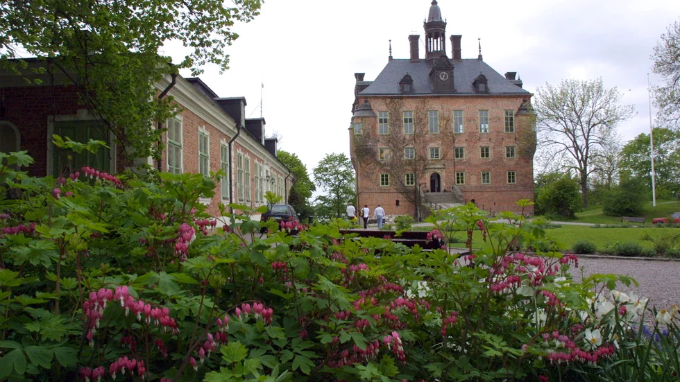 Vi vill låta Wiks folkhögskola fokusera på de andra estetiska uttrycken, där man har din styrka, skriver Kajsa Ravin angående Wiks teaterlinje.