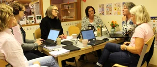 Ska lära sig av förskola - på Island
