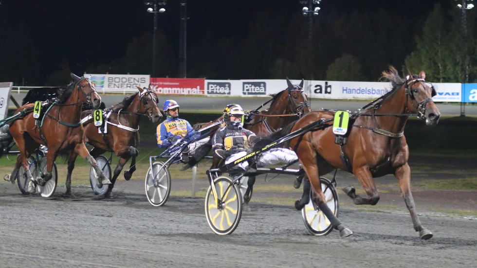 Hemmahästen Swagger har vunnit tre raka segrar med Sandra Eriksson i sulkyn. Ekipaget ställs mot ett par andra segerstaplare i V64-1. Bland dem NM-spiken Boogiewoogie Laday.
 