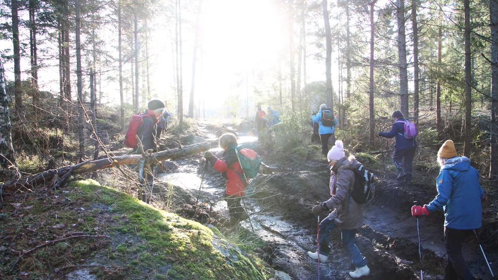 Hejaropen gick som en vind genom skogen i den tuffa terrängen. Snart blev underlaget bättre. 