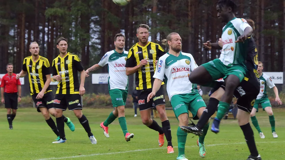 Hultsfreds FK har klart med herrtränare för 2020. 