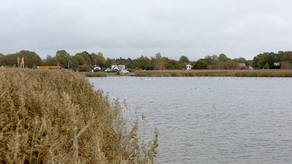 Kustnära Klintehamn sett från Varvsholm.