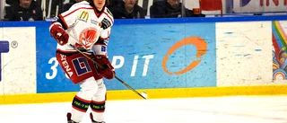 VIK lånar in en back från ettan