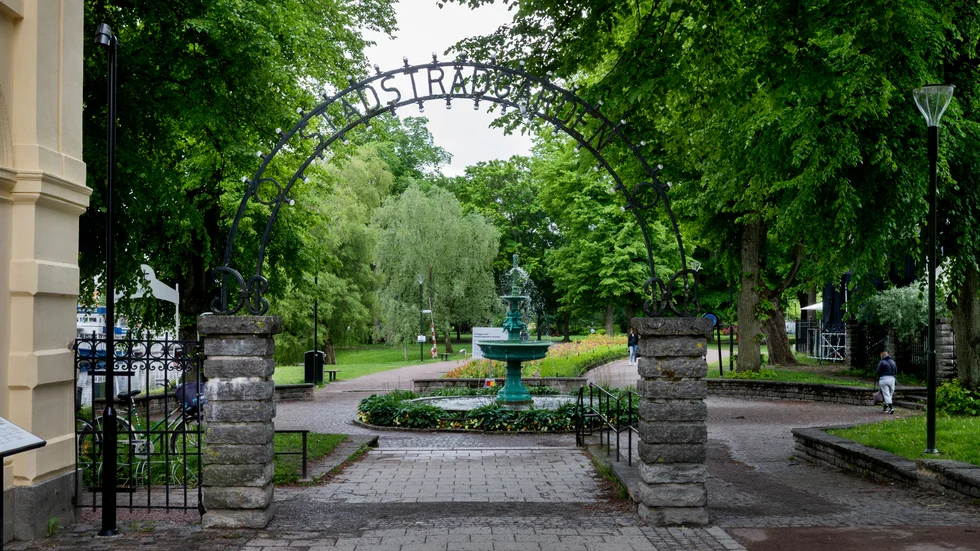 En ung man döms för misshandel i Stadsträdgården i slutet av augusti.