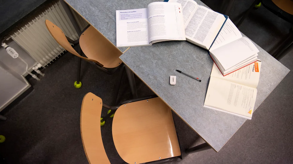 En granskning av hur grundskolans skolböcker lär ut samhällsekonomi visade på många felaktigheter.