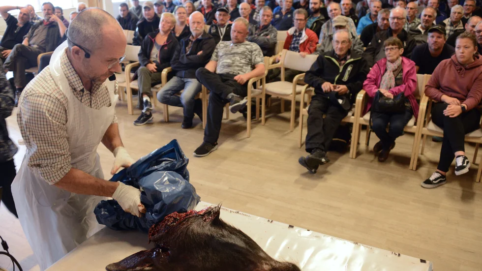 Erik Ågren, statsveterinär på Statens veterinärmedicinska anstalt, visade på ett välbesökt möte i Arjeplog hur CWD-provet ska tas ur älghuvudet. Mer än 600 prover skickades in efter jakten. (Arkiv)