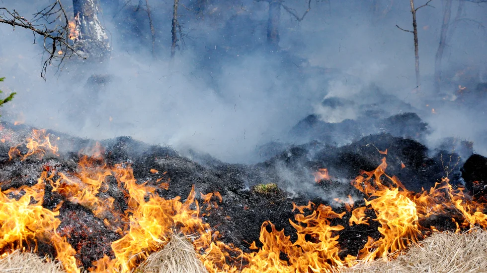 Risk för gräsbrand i Uppsala län. Snart kommer kallare och blötare väder och då kan prognosen ändras.