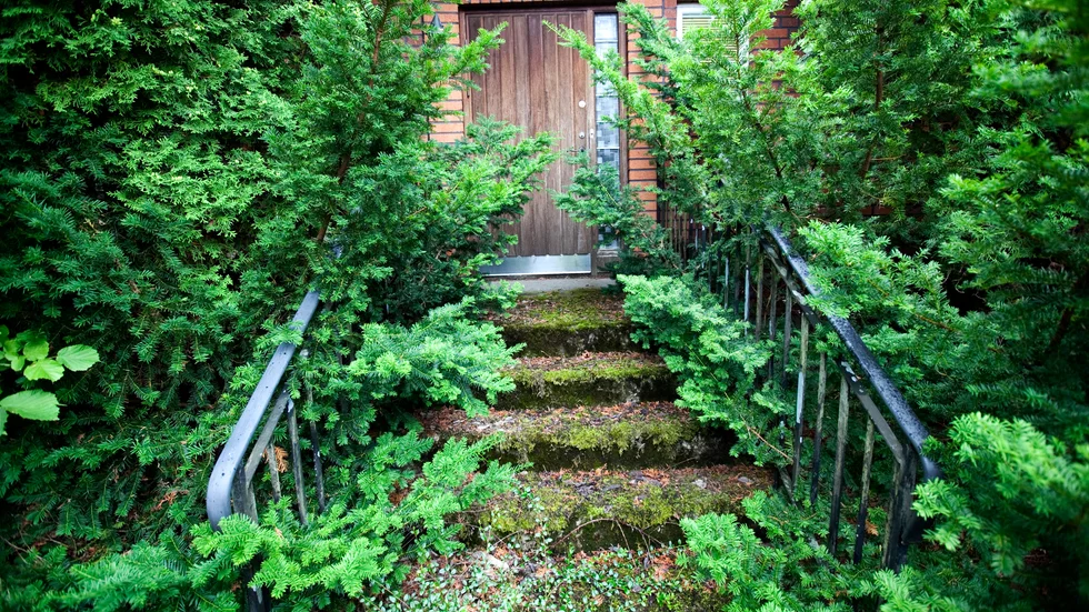 Östhammars kommun ska kartlägga övergivna byggnader. Förhoppningen är sedan att man ska hitta någon som vill ta över och rusta upp dem.
