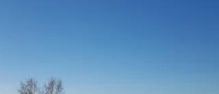 "Vantarna gjorde att vi fick mat på bordet"