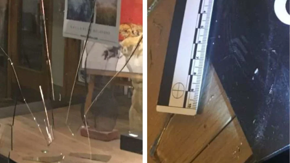 En 19-årig kvinna har åtalats för att sparkat sönder ett skyltfönster på Platensgatan. 