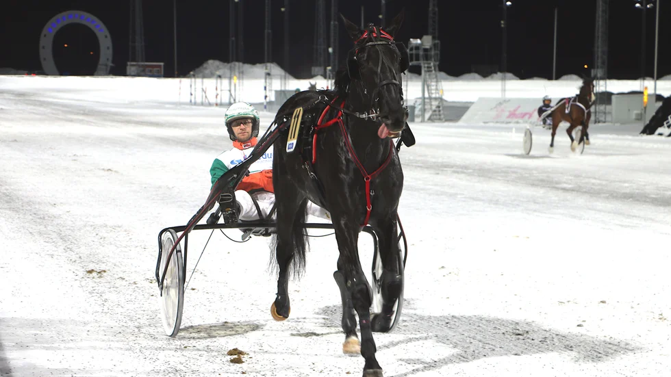 Det blev en skrattmatch för finske segermaskinen Asterisque och vikarierande kusken Ville Pohjola. Sjunde segern i åttonde starteni G75-4 för den 4-årige hingsten.