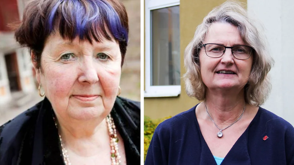 Under tisdagens fullmäktigemöte ställde Margaretha Gadde Jennische (M) en interpellation till Marie Wilén (C) angående lokalsituationen i Heby kommun.