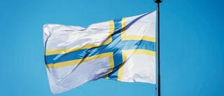Sverigefinnarnas dag firas med kultur