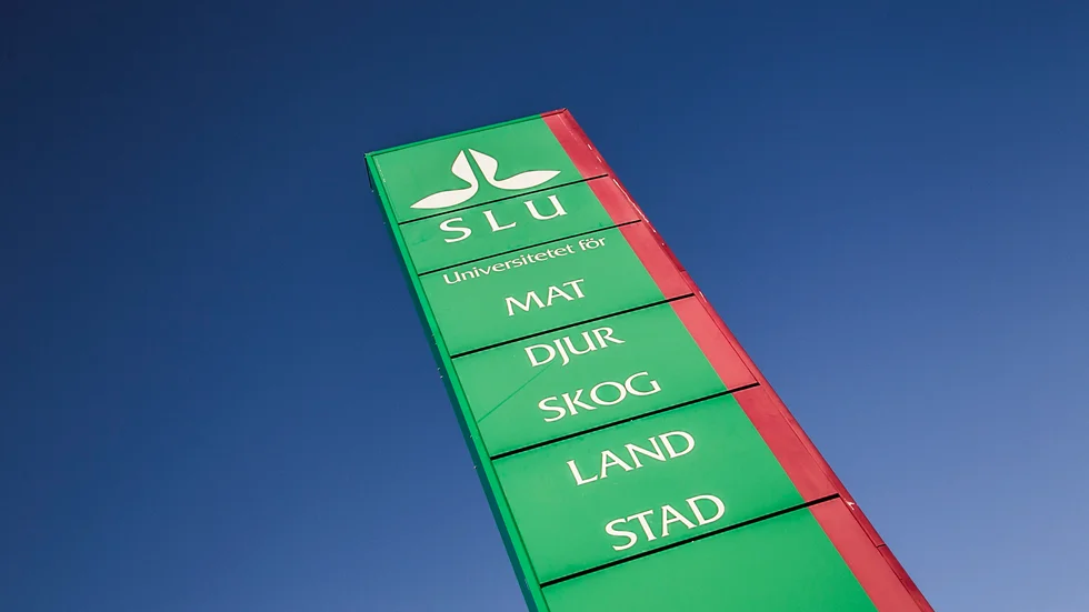 Mark- och miljödomstolen godkände SLU:s ansökan om att riva dammen i Sävjaån.