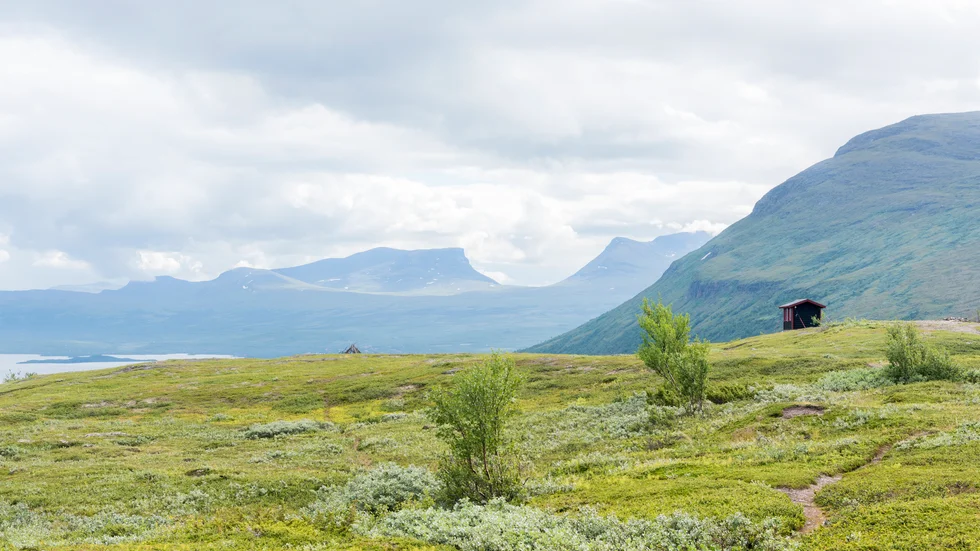 BBC vill filma på Nuolja och Abiskos nationalpark till en kommande naturdokumentär. Målet är att dokumentera tundrahumlan.