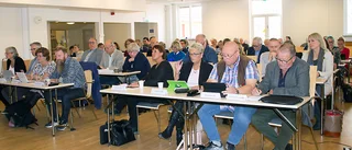 Revisionen kritiserar delårsrapporten