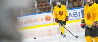 Avslöjar: Luleå Hockey drar sig ut slutspel