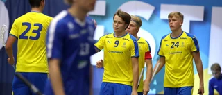 Två gånger Emil i U19-landslaget