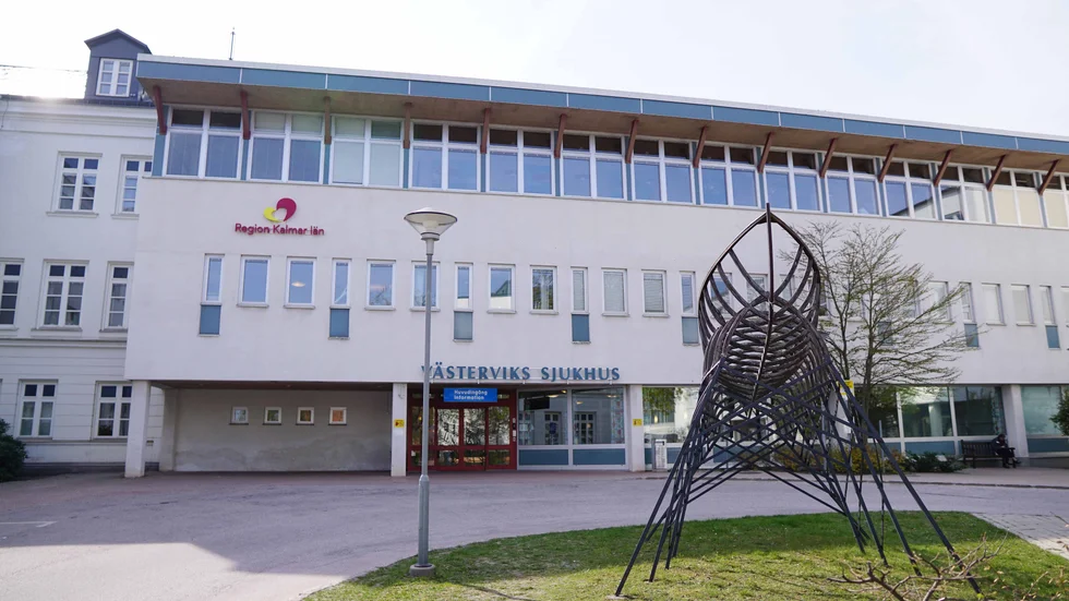 Kvinnan avled efter att hon fått blodförgiftning.