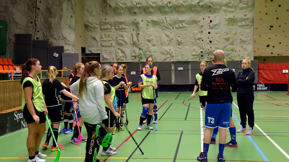 Argentum/K4 inledde med förlust i innebandyettan. (Arkivbild)