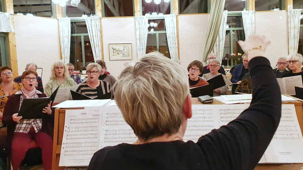 Elisabeth Jivegård leder kören Ex Animo.