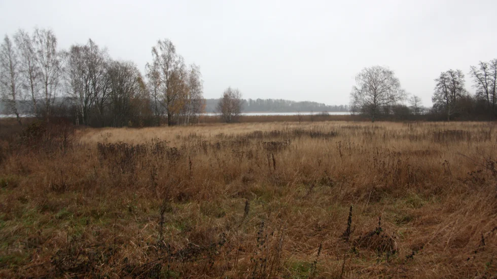 Det kan knappast vara ett kommunalt intresse att stödja exploateringen på strandskyddat område i Haga Ekudden, skriver Kjell Grip.