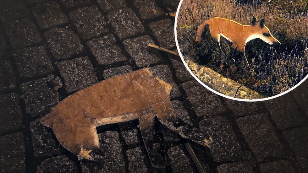 Boxholms senaste konst i rondellen blev kortlivad. Rondellräven är död.