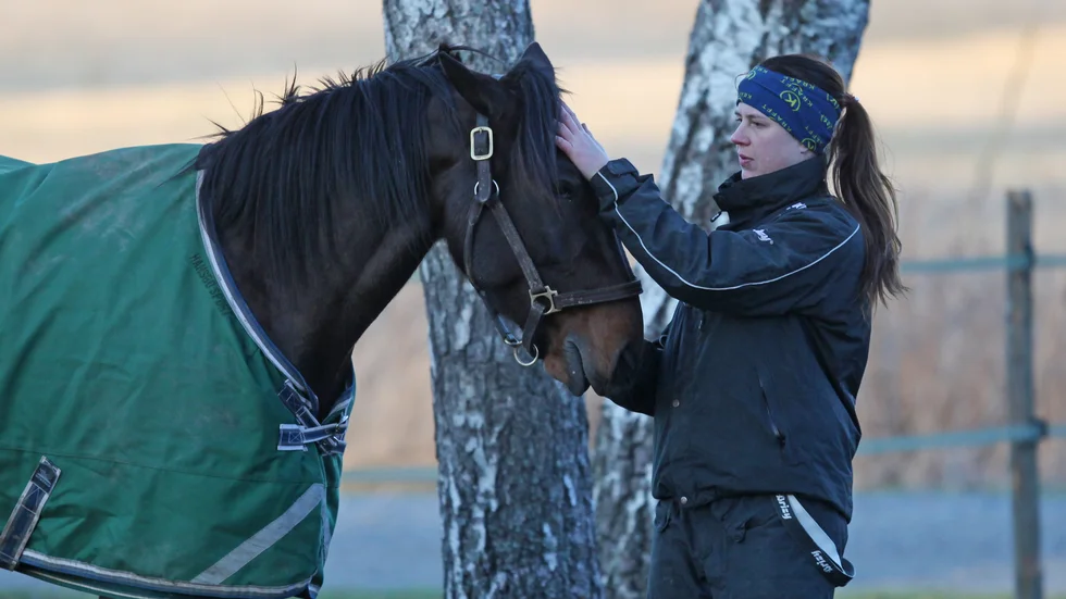 På lördag gör Malin Bergströms-tränade Go Around debut på V75 när tävlingarna avgörs på Sundbyholm.